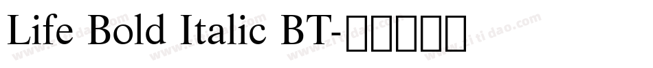 Life Bold Italic BT字体转换